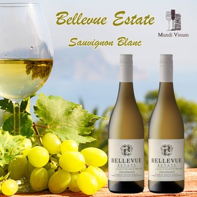 BELLEVUE estate Sauvignon Blanc witte zuid-afrikaanse wijn Stellenbosch
