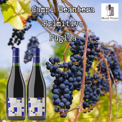 Campi Deantera wijn van de primitivo druif Puglia Italiaanse rode wijn
