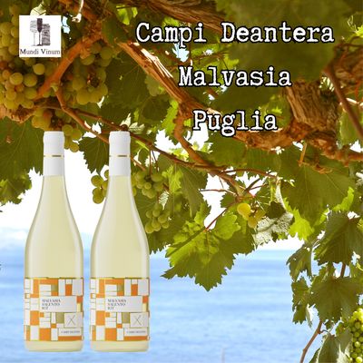 CAMPI DEANTERA wijnhuis in Puglia - Italiaanse witte wijn van de Malvasia blanco druif