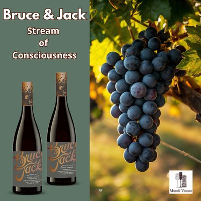 Bruce Jack Reserve Stream of Consciousness