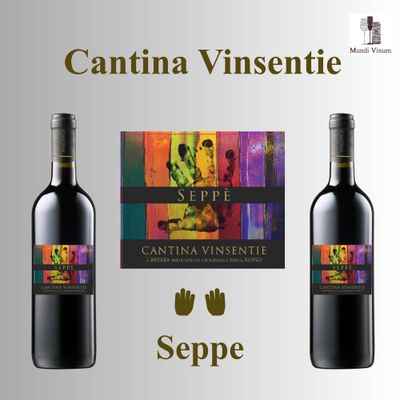 cantina vinsentie seppe Italiaanse rode topwijn wijnhandel Mundi Vinum in Herent