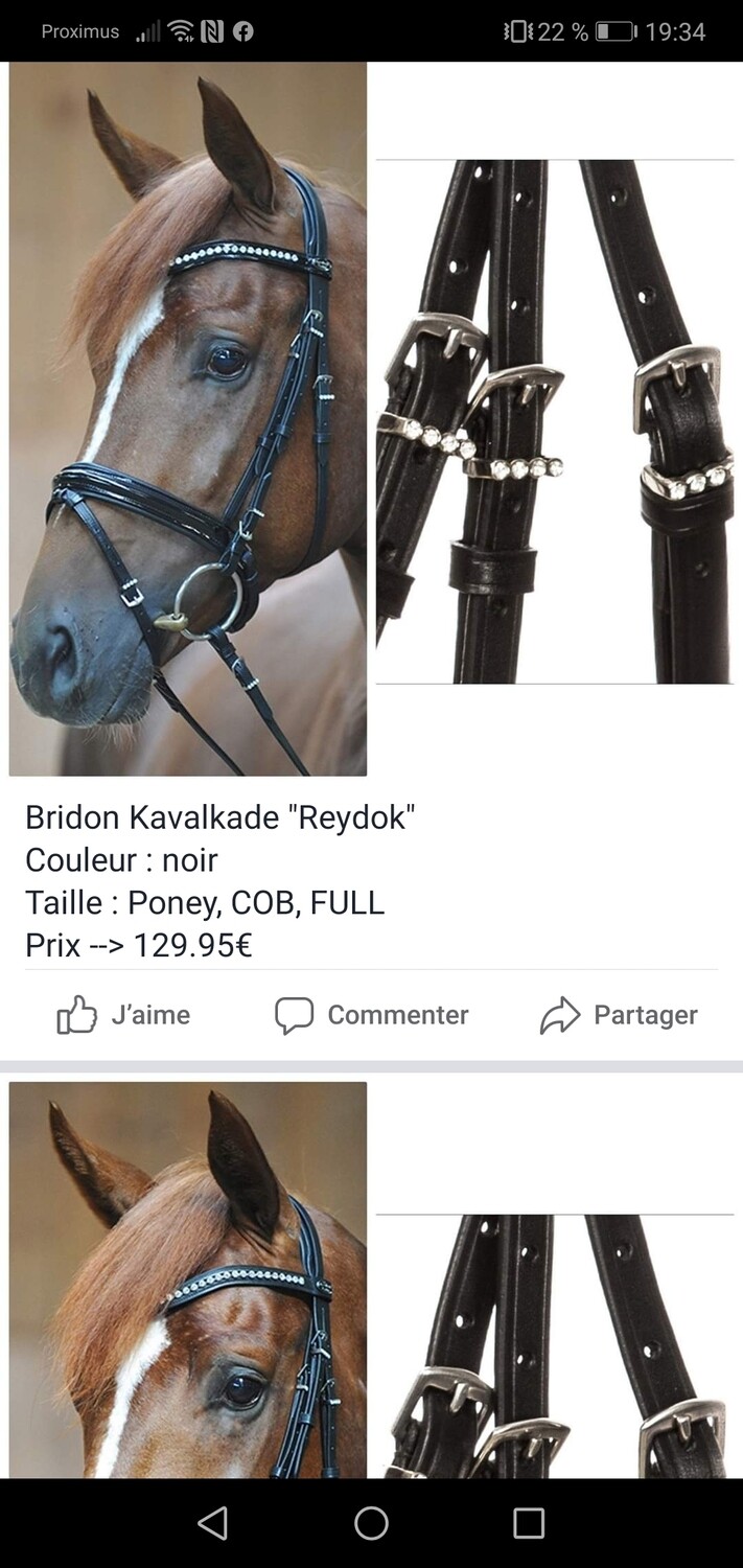Bridon KAVALKADE Camillo noir PONEY COB FULL