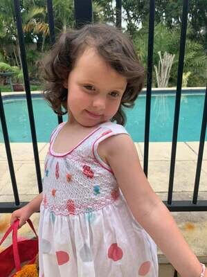 Girls smocked Dresses - lots of sizes and colours arriving soon