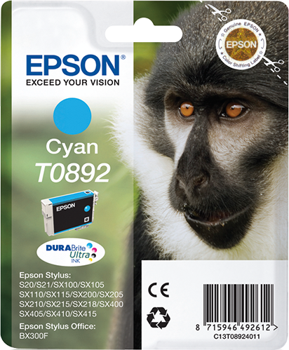C13T08924011