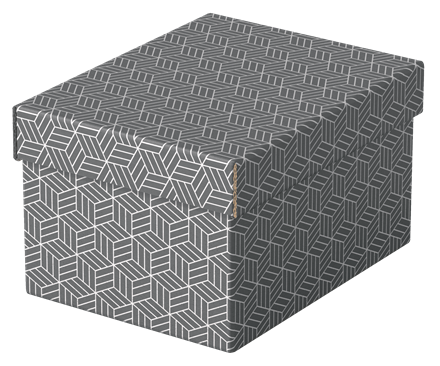 PACK 3 CAJAS GRISES 255X200X150MM ESSELTE 628281