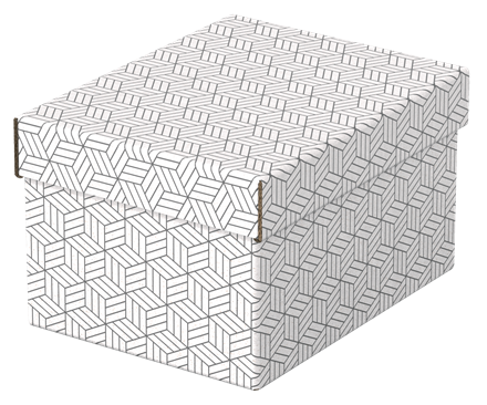 PACK 3 CAJAS BLANCAS 255X200X150MM ESSELTE 628280