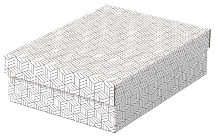 PACK 3 CAJAS BLANCAS 360X265X100MM ESSELTE 628284