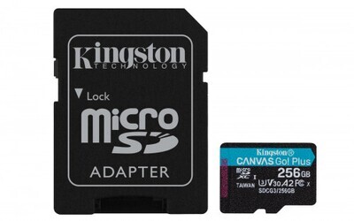 Kingston Technology Canvas Go! Plus memoria flash 256 GB SD Clase 10 UHS-I