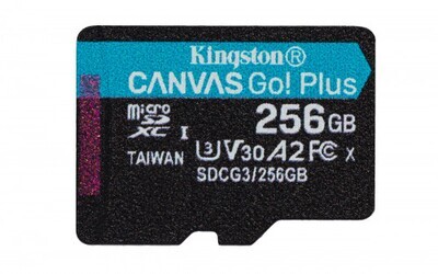 Kingston Technology Canvas Go! Plus memoria flash 256 GB MicroSD Clase 10 UHS-I