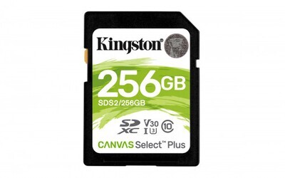 Kingston Technology Canvas Select Plus memoria flash 256 GB SDXC Clase 10 UHS-I