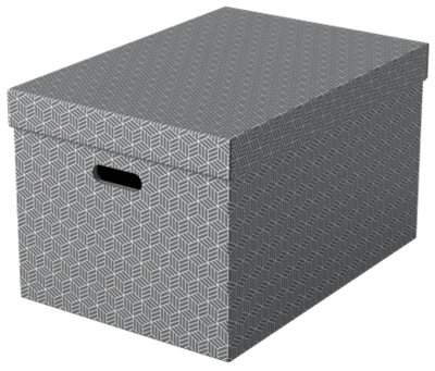 PACK 3 CAJAS GRISES 510X355X305MM ESSELTE 628287