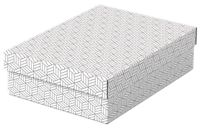 PACK 3 CAJAS BLANCAS 360X265X100MM ESSELTE 628284