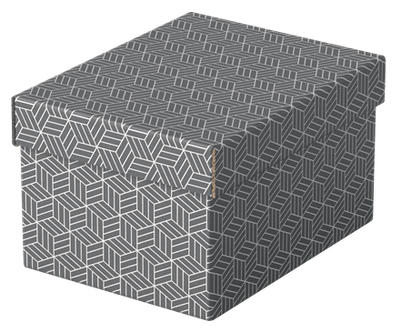 PACK 3 CAJAS GRISES 255X200X150MM ESSELTE 628281