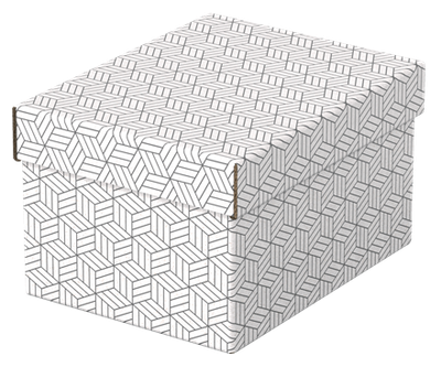 PACK 3 CAJAS BLANCAS 255X200X150MM ESSELTE 628280