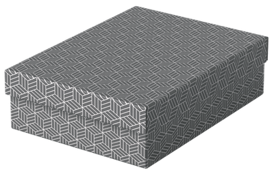 PACK 3 CAJAS GRISES 360X265X100MM ESSELTE 628285