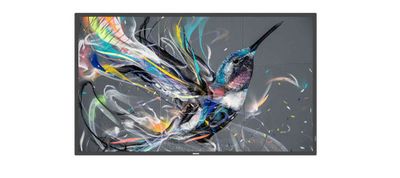 MONITOR PHILIPS 55 MONITOR PHILIPS 55" Q-LINE / PANEL IPS D-LED 16:9 / 3840X2160 400CD/M2 / 9MS / PIXEL PITCH 0.315X0.315 / VESA 400X400/M6 / SOC MS - 92Q / USO LANDSCAPE / PORTRAIT 18/7 / OPS NO / WIFI NO / 1XRJ45