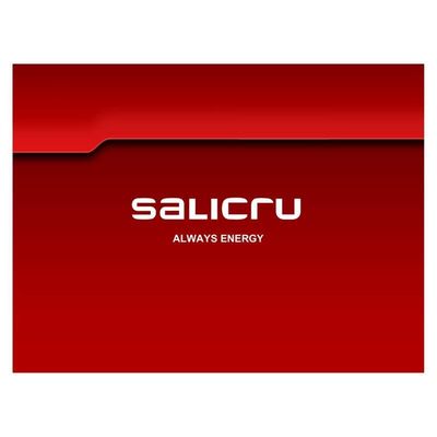 TARJETA SNMP/WEB SALICRU INTERNA WEB ADAPTER