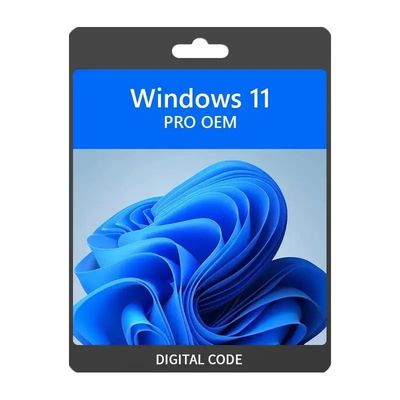 WINDOWS 11 PROFESSIONAL 64 BITS OEM NO DVD