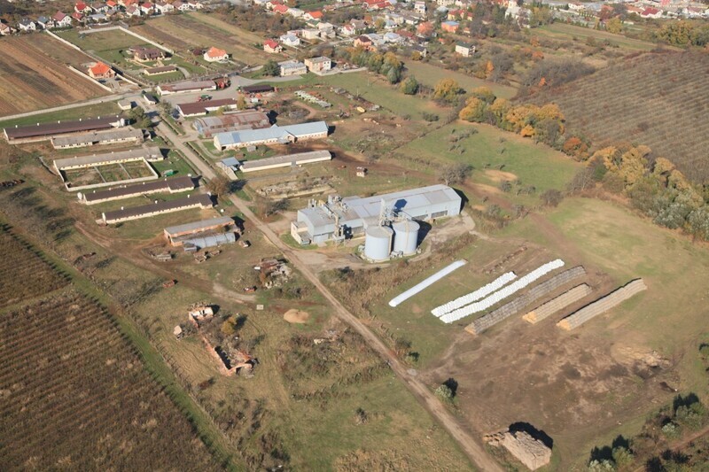 Kosicke-Olsany-2013-35