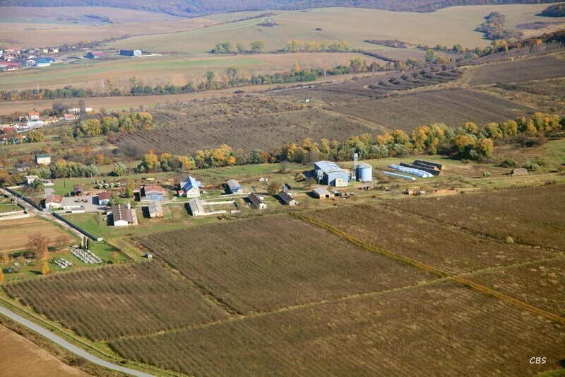 Kosicke-Olsany-2013-56