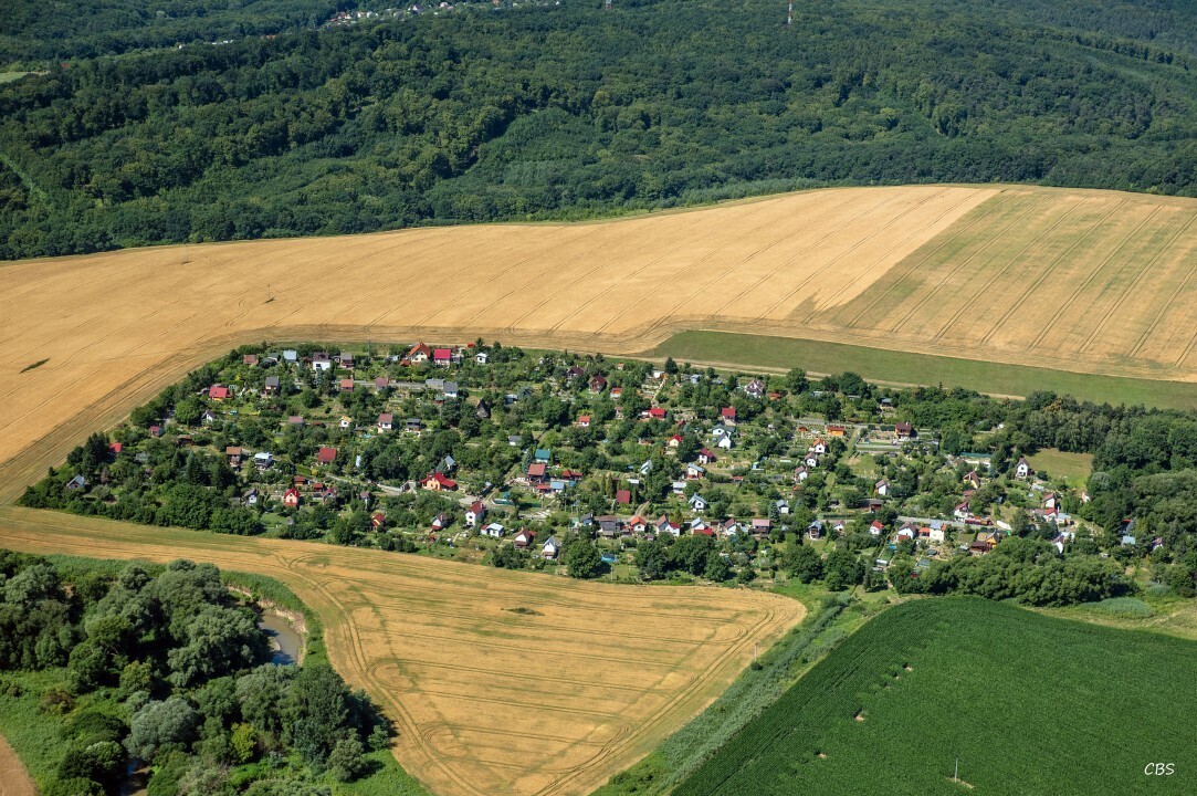 Kosicke-Olsany-2016-30