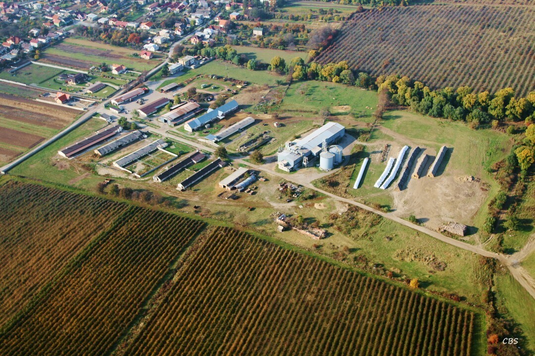 Kosicke-Olsany-2013-18