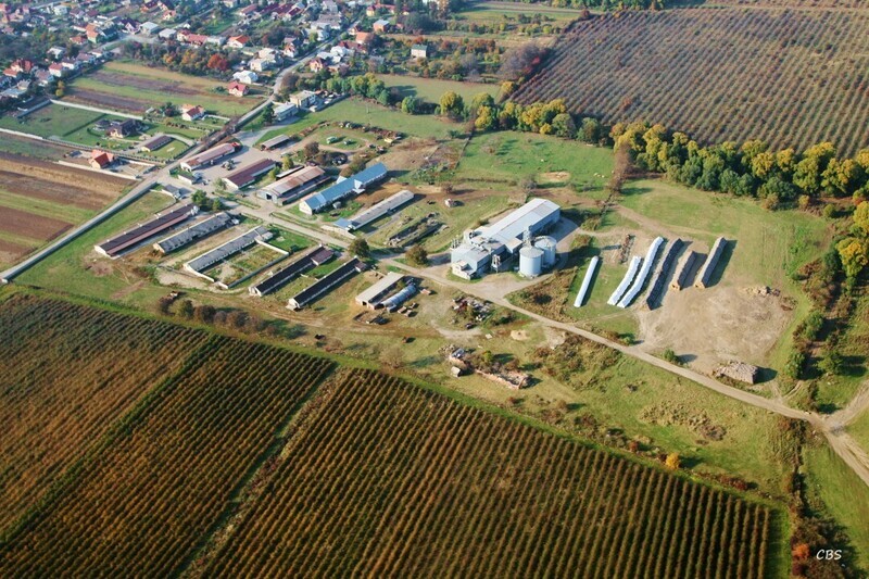 Kosicke-Olsany-2013-18