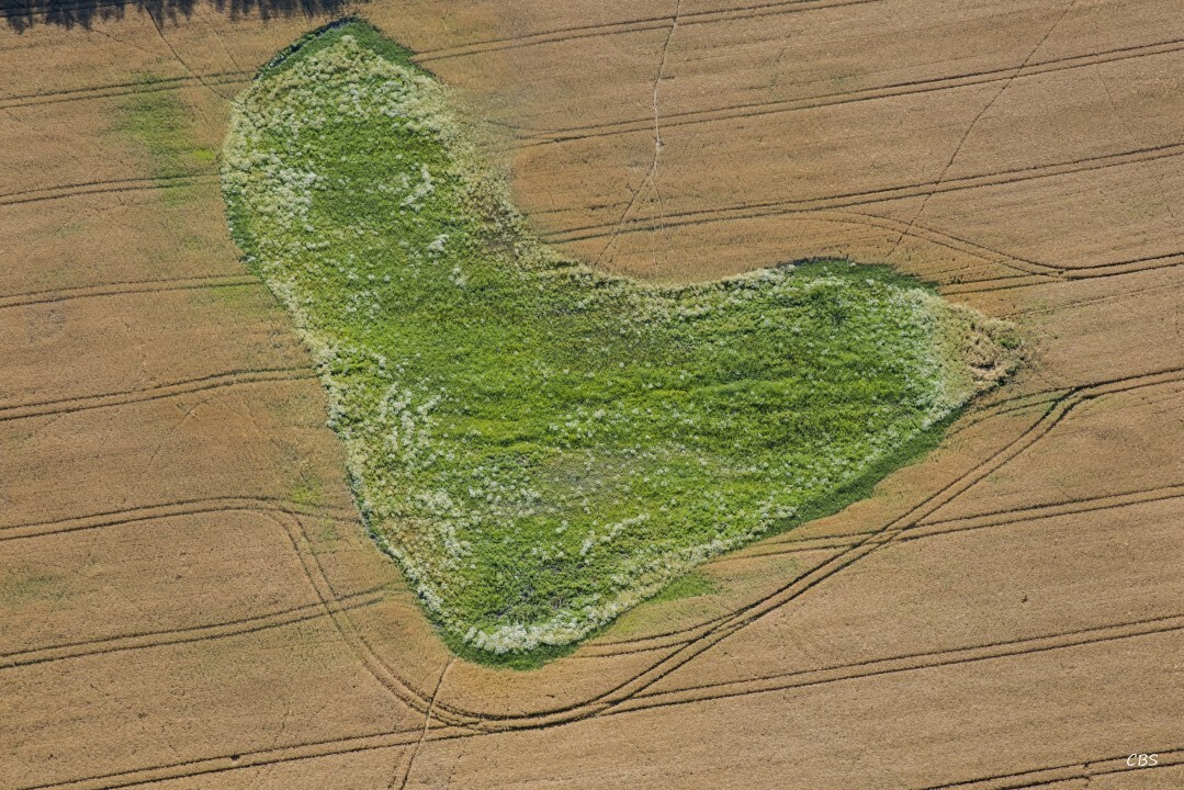 Moldava-nad-Bodvou-2016-36