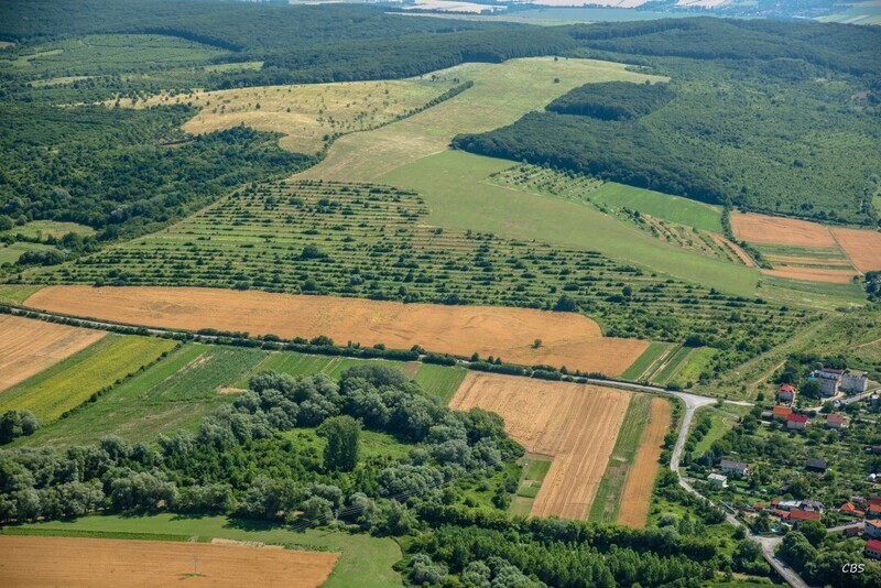 Kosicka-Polianka-2016-8