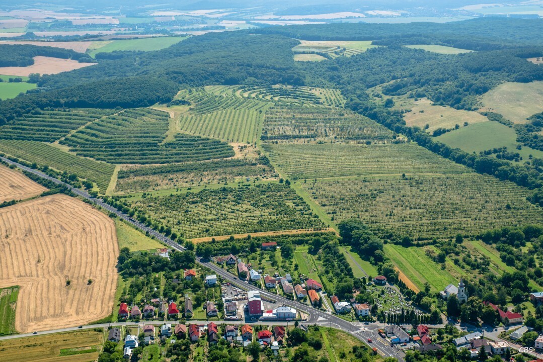 Kosicke-Olsany-2016-21