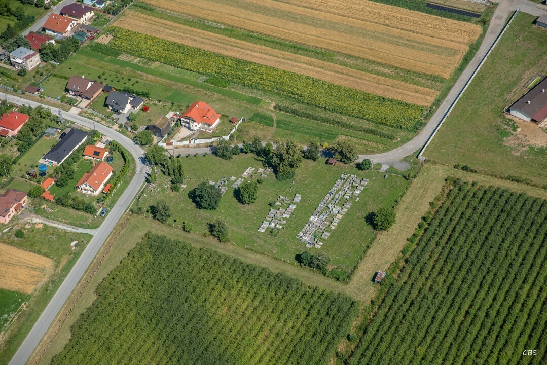 Kosicke-Olsany-2016-15