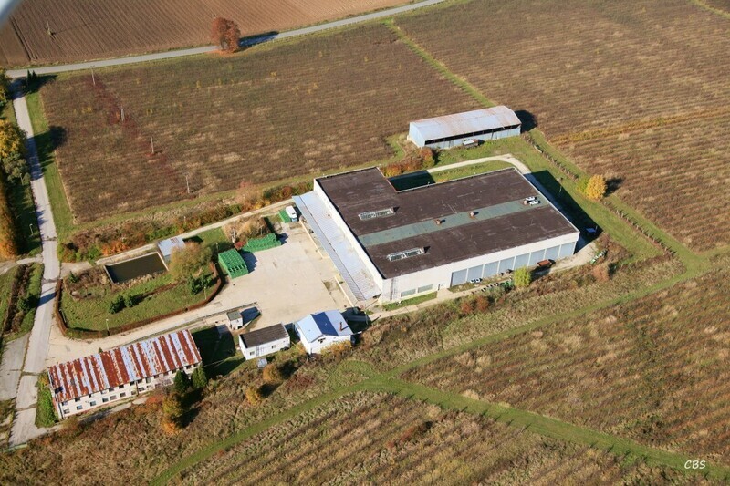 Kosicke-Olsany-2013-53