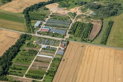 Košické Olšany - 2016