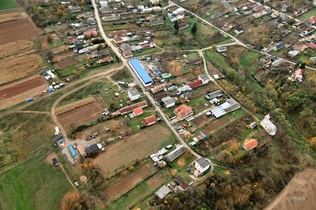 Zarnov-2013-6