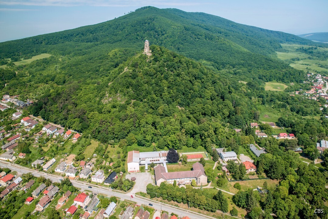 Slanec-2015-19