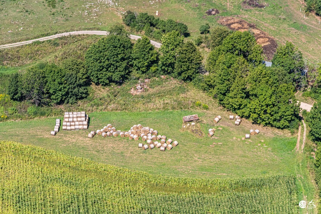 Silicka-Brezova-2019-14