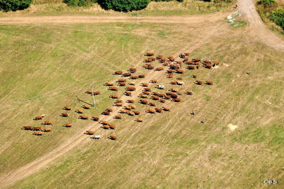 Blatna-Polianka-2013-4