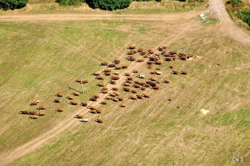 Blatna-Polianka-2013-4