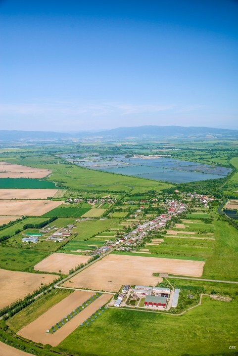 Senne-2015-2