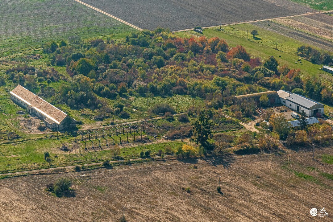 Puste-Cemerne-2019-5