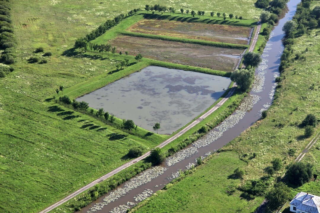 Senne-2012-14