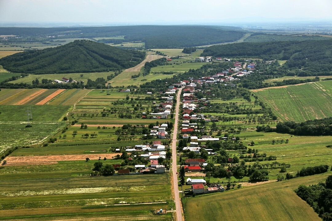 Lesne-2012-4