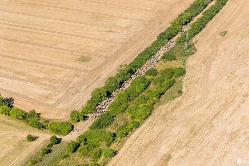 Male-Raskovce-2018-6