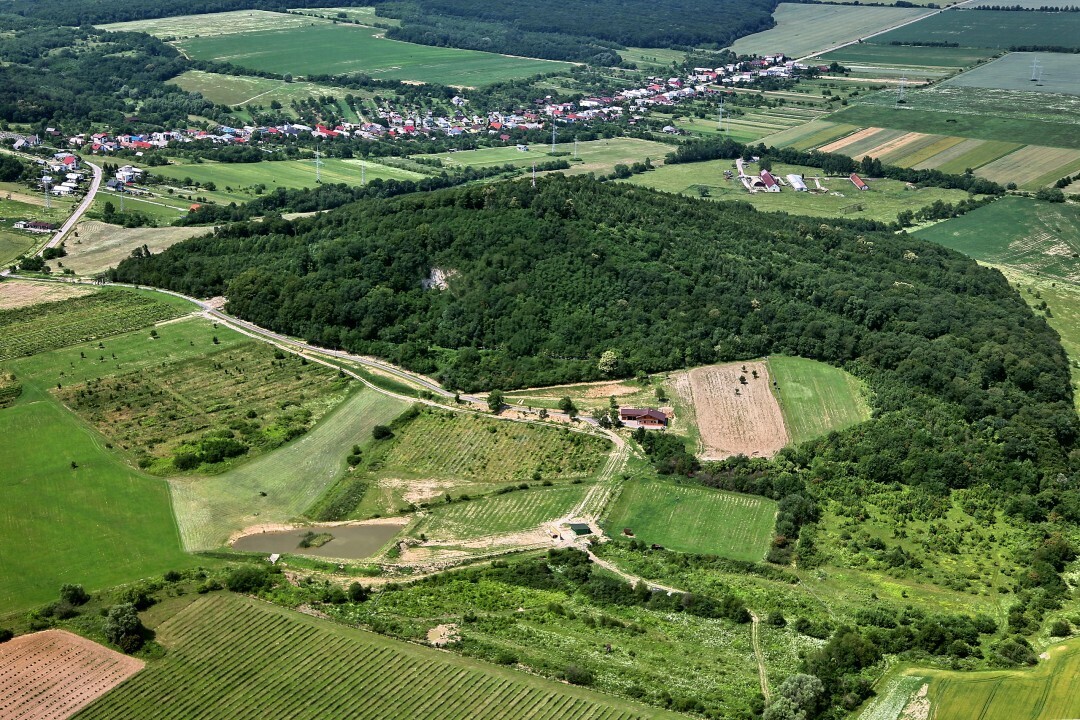 Lesne-2012-1