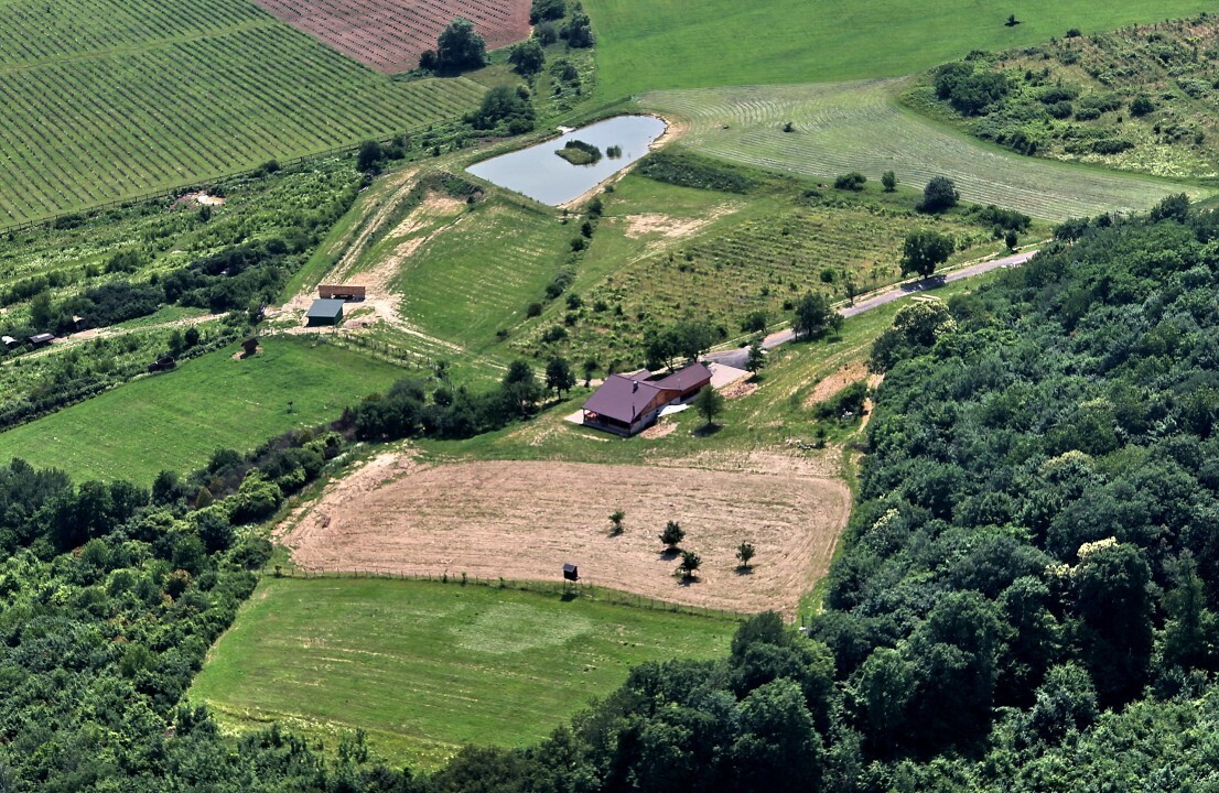 Lesne-2012-24