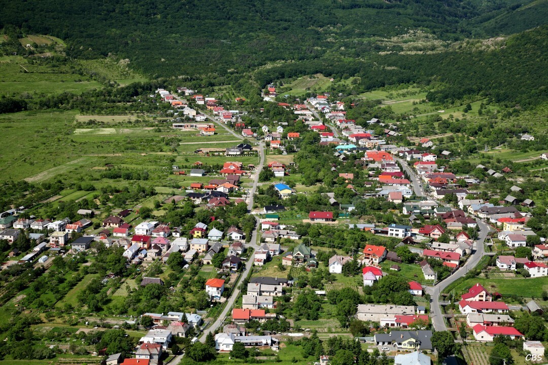 Vinne-2014-23