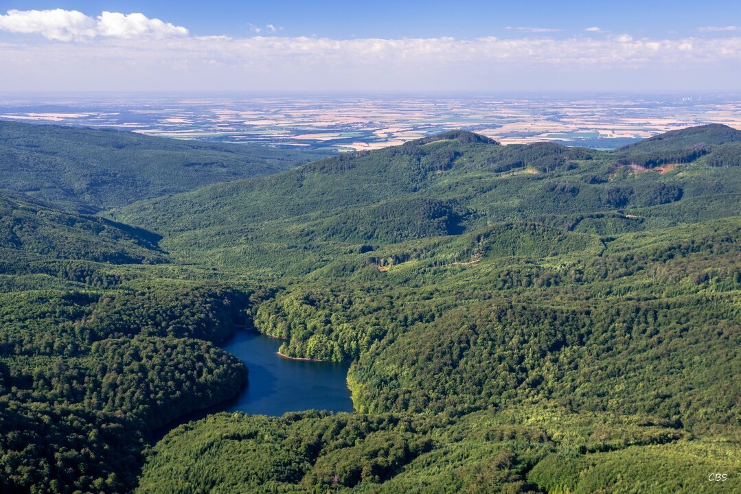 Remetske-Hamre-2016-16