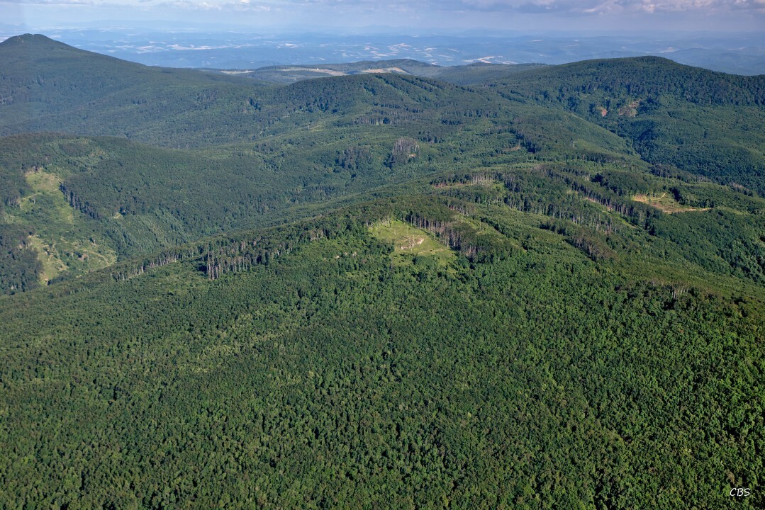 Remetske-Hamre-2016-14