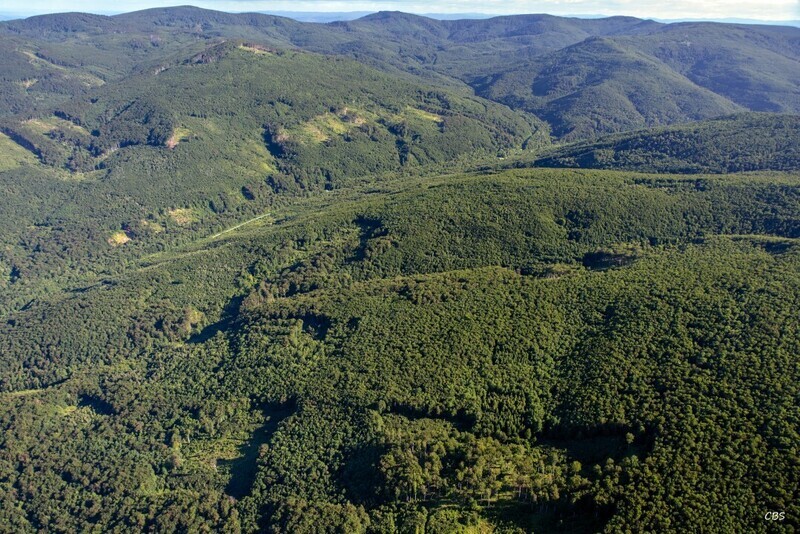 Remetske-Hamre-2016-12