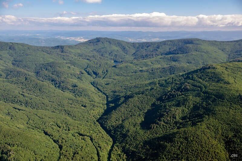 Remetske-Hamre-2016-13